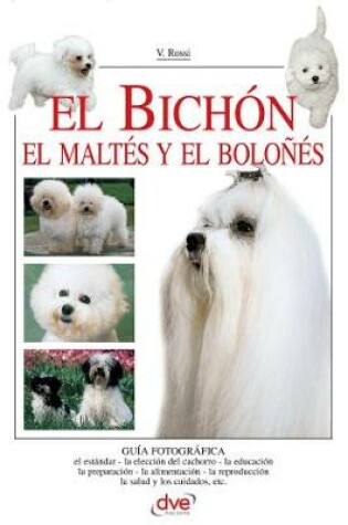 Cover of El Bichon