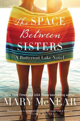 Book cover for The Space Between Sisters