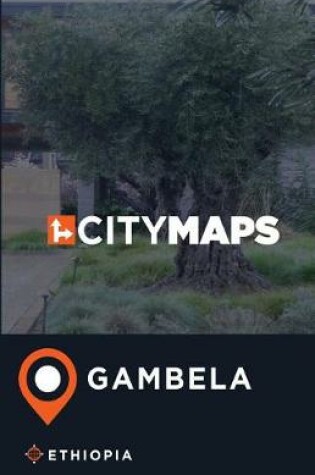 Cover of City Maps Gambela Ethiopia