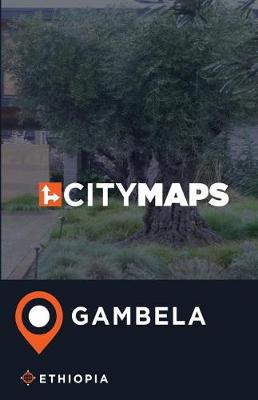 Book cover for City Maps Gambela Ethiopia