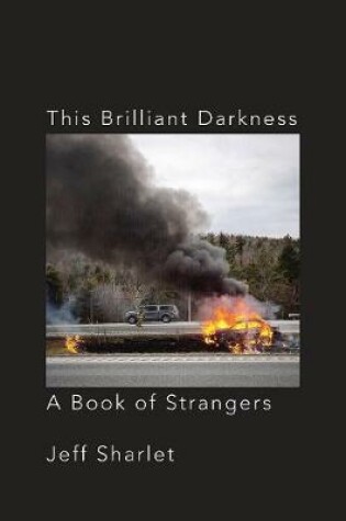 Cover of This Brilliant Darkness