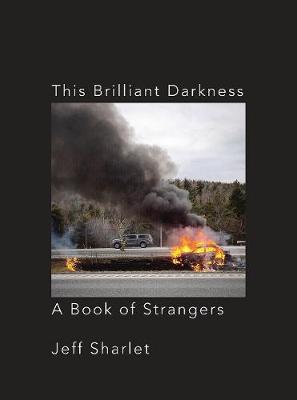 Book cover for This Brilliant Darkness