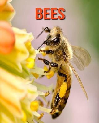 Book cover for Bees