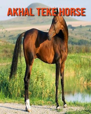 Book cover for Akhal Teke Horse