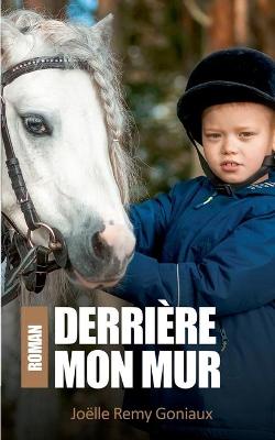 Book cover for Derriere mon mur