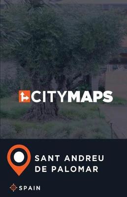 Book cover for City Maps Sant Andreu de Palomar Spain