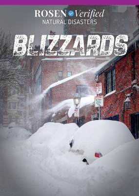 Cover of Blizzards