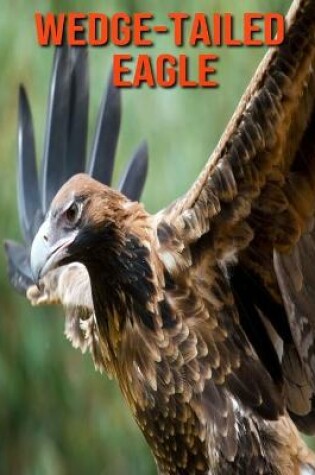 Cover of Wedge-Tailed Eagle