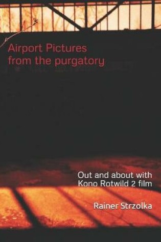 Cover of Airport Pictures from the purgatory