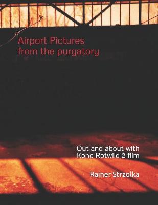 Book cover for Airport Pictures from the purgatory