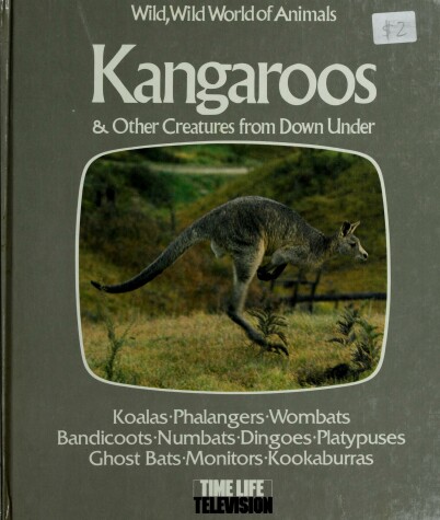 Book cover for Kangaroos and Other Creatures from Down Under