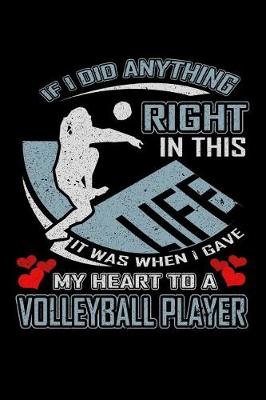 Book cover for If I Did Anything Right in This Life It Was When I Gave My Heart to a Volleyball Player