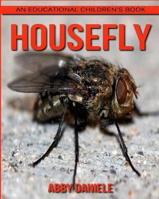 Book cover for Housefly! An Educational Children's Book about Housefly with Fun Facts & Photos