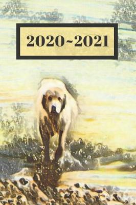 Cover of White Sheepdog Great Pyrenees Dated Calendar Planner 2 years To-Do Lists, Tasks, Notes Appointments