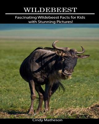 Book cover for Wildebeest