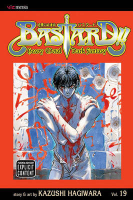 Book cover for Bastard!!, Vol. 19