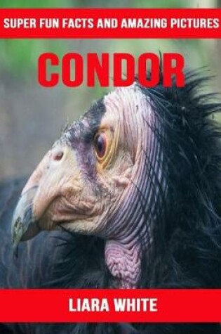 Cover of Condor