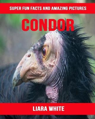 Book cover for Condor