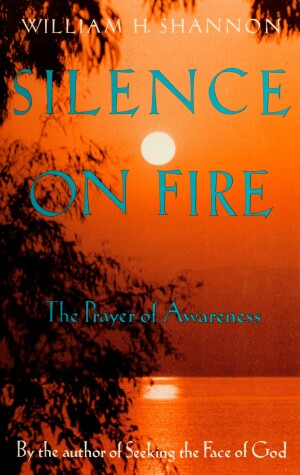 Book cover for Silence on Fire