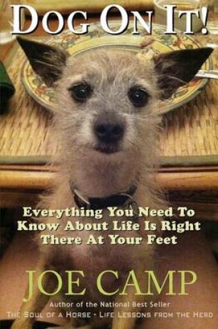 Cover of Dog On It! - Everything You Need To Know About Life Is Right There At Your Feet