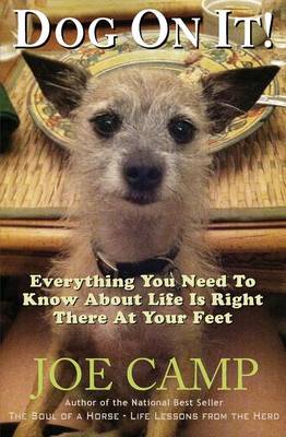 Book cover for Dog On It! - Everything You Need To Know About Life Is Right There At Your Feet