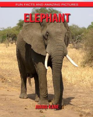 Book cover for Elephant