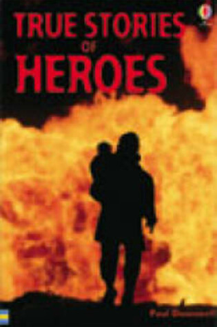 Cover of True Stories of Heroes