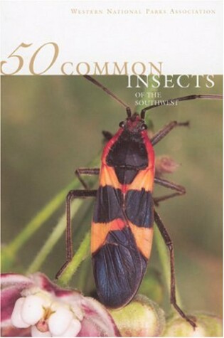 Cover of 50 Common Insects of the Southwest