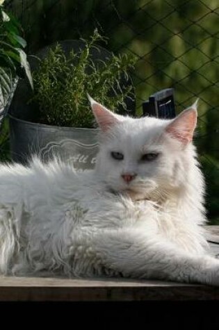 Cover of Fluffy White Cat in the Garden