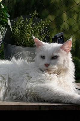 Book cover for Fluffy White Cat in the Garden