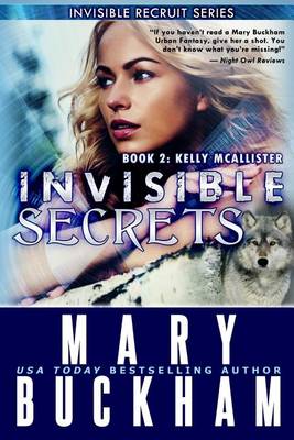 Cover of Invisible Secrets Book Two