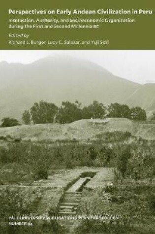 Cover of Perspectives on Early Andean Civilization in Peru