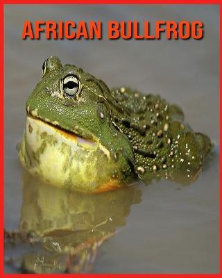 Book cover for African Bullfrog