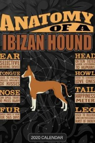 Cover of Anatomy Of A Ibizan Hound