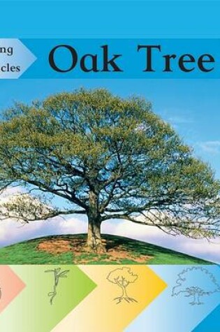 Cover of Oak Tree