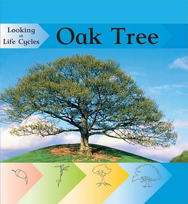 Cover of Oak Tree