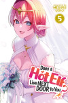 Book cover for Does a Hot Elf Live Next Door to You? Vol. 5