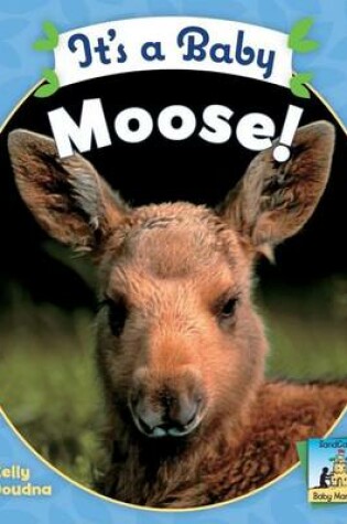 Cover of It's a Baby Moose