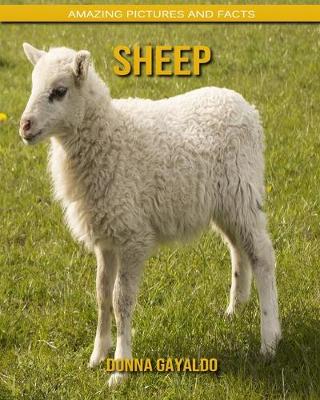 Book cover for Sheep