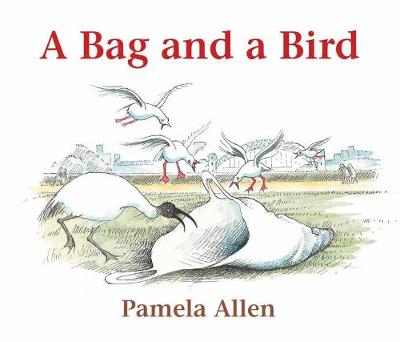 Book cover for A Bag and a Bird