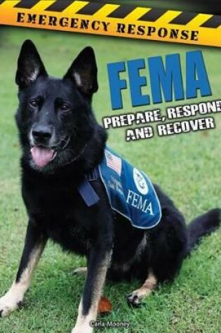 Cover of Fema