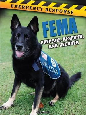 Book cover for Fema