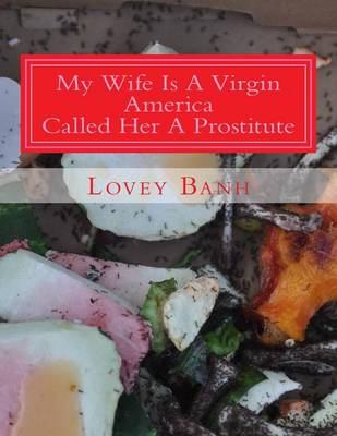 Book cover for My Wife Is a Virgin America Called Her a Prostitute