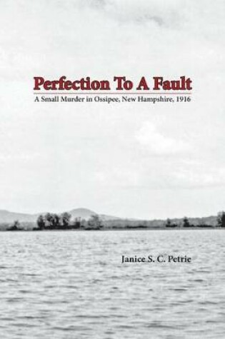 Cover of Perfection To A Fault