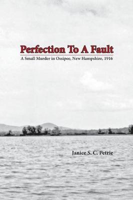 Book cover for Perfection To A Fault