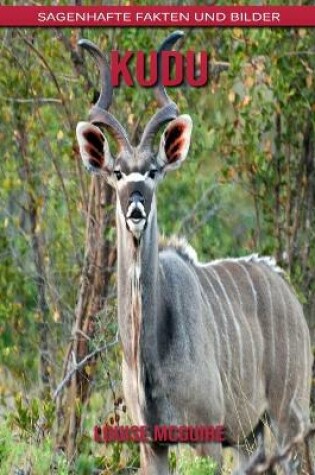 Cover of kudu