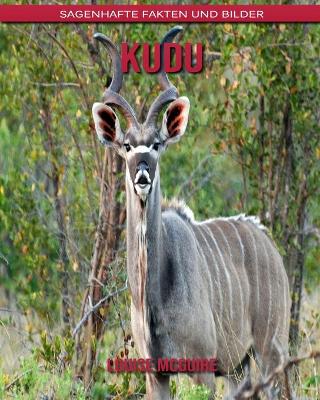 Book cover for kudu