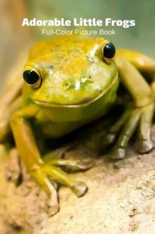 Cover of Adorable Frogs Full-Color Picture Book