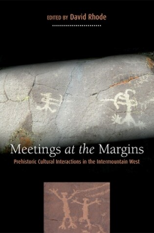 Cover of Meetings at the Margins