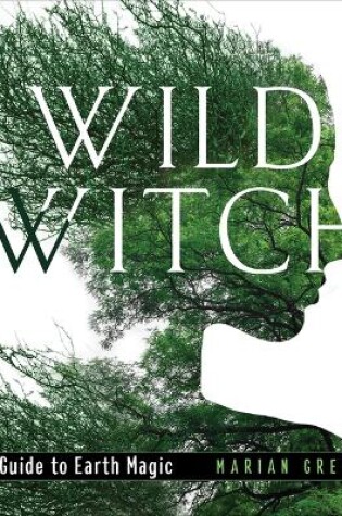 Cover of Wild Witch